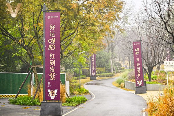 2025唯怡开门红 红到发“紫”
